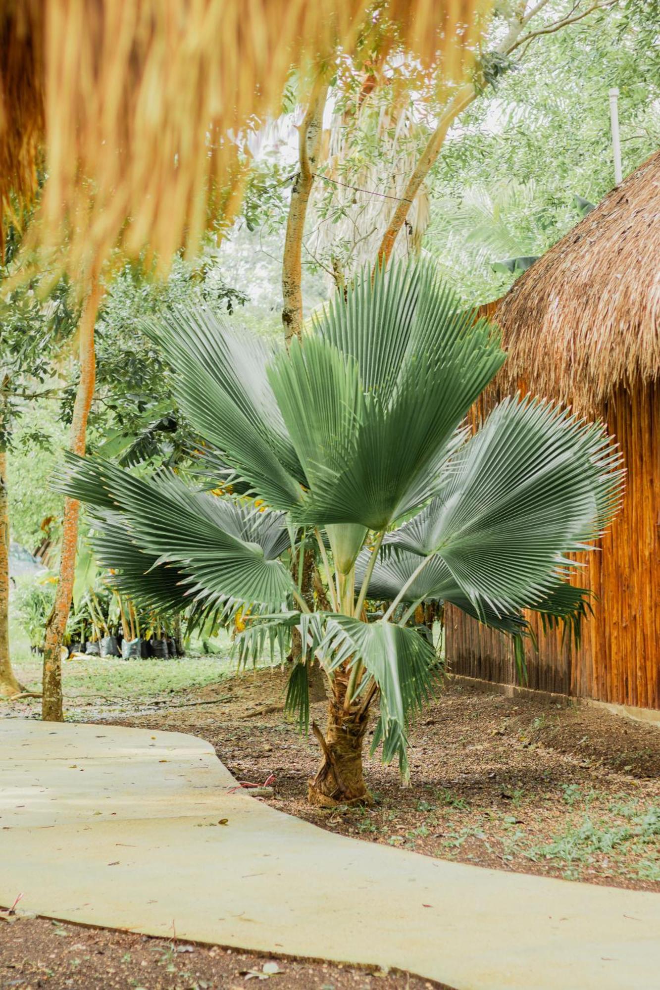 Mayan Playa Бакалар Екстер'єр фото